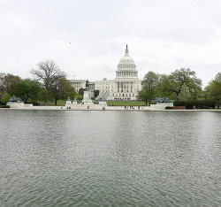 Здание Конгресса США в Вашингтоне