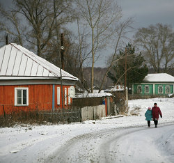 Снег выпал в Новосибирской области