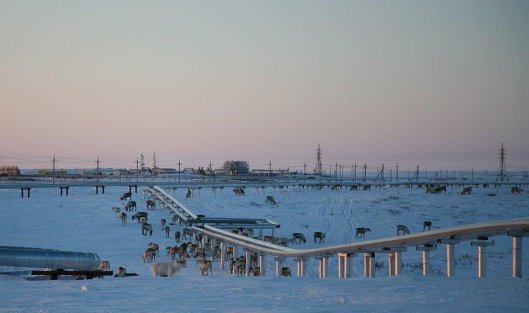 трубопровод