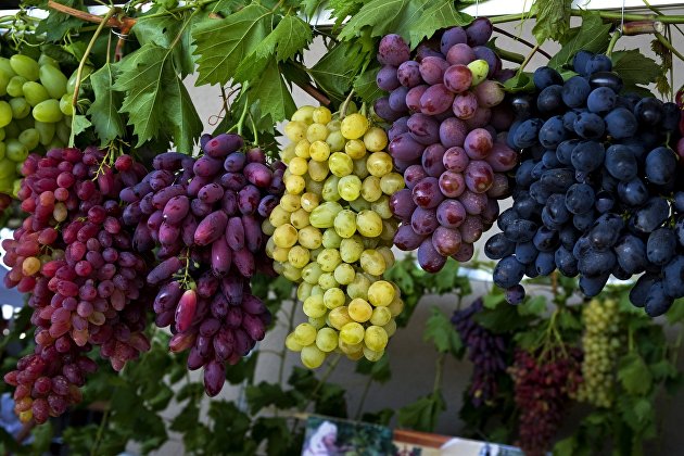 Фестиваль "Золотая гроздь винограда" в Крыму