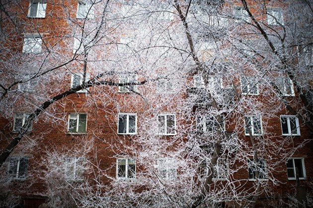 Заснеженные деревья в Омске