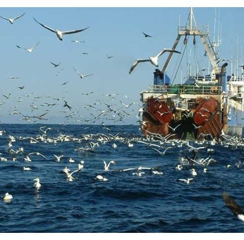 Вылов водных биоресурсов рыбаками РФ
