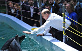 Владимир Путин во время посещения Приморского океанариума