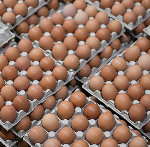 Производство куриных яиц