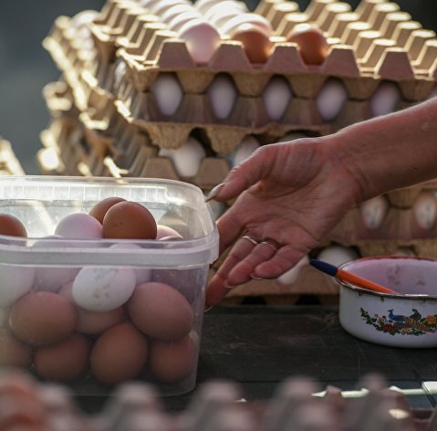 Продажа куриных яиц
